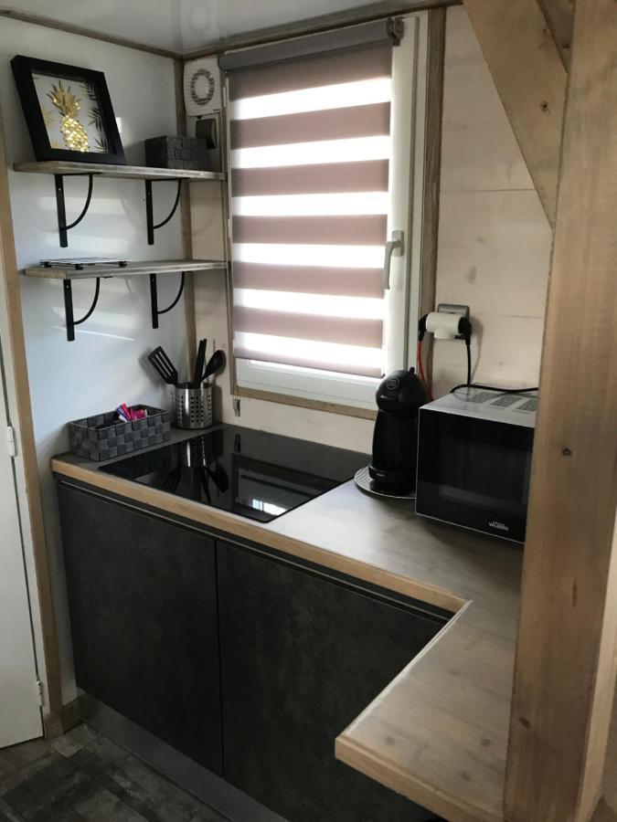 Les nuits insolites de la mothe - hébergement en bulle - tiny house avec spa privatif ou croisière fluviale Outremecourt Esterno foto